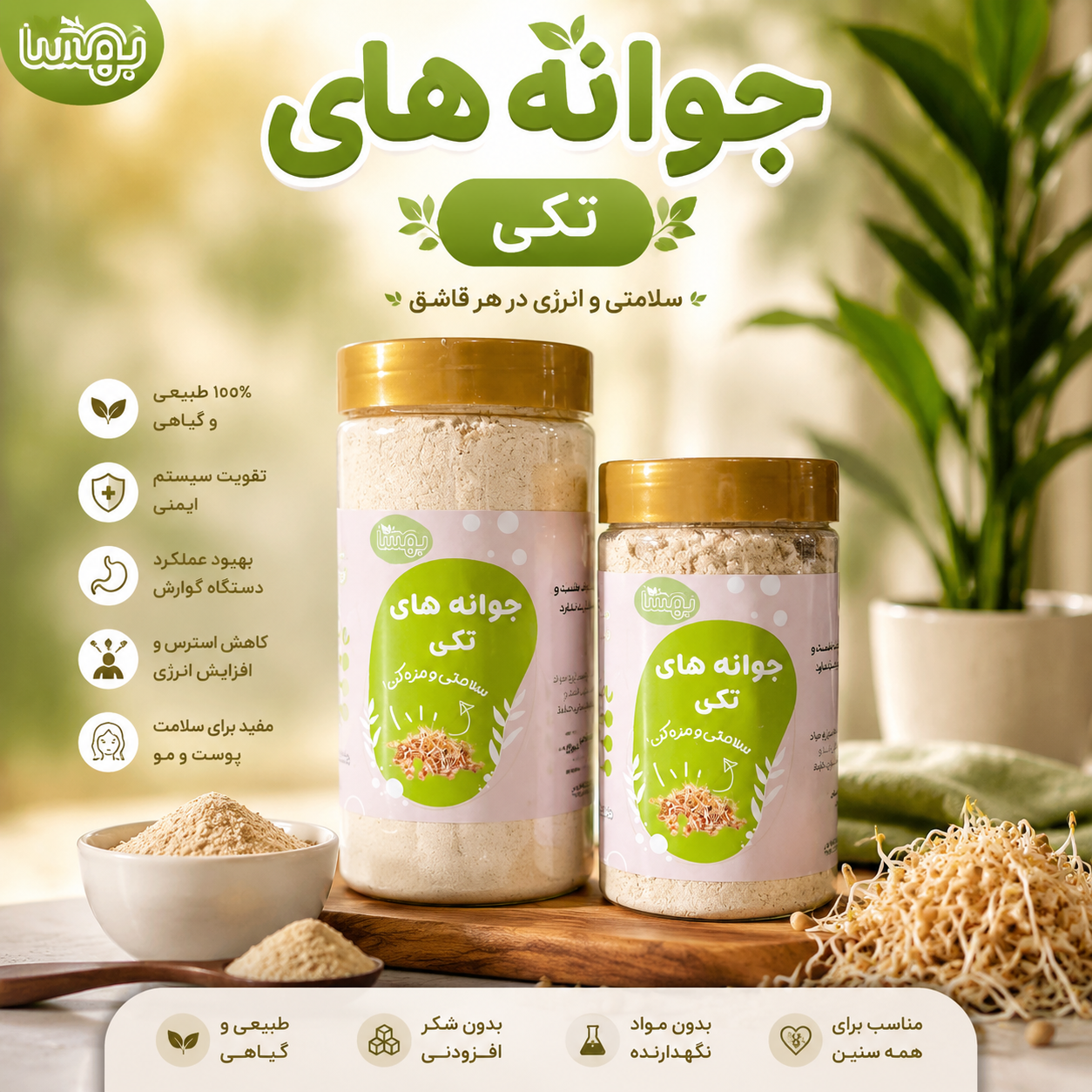 جوانه گندم